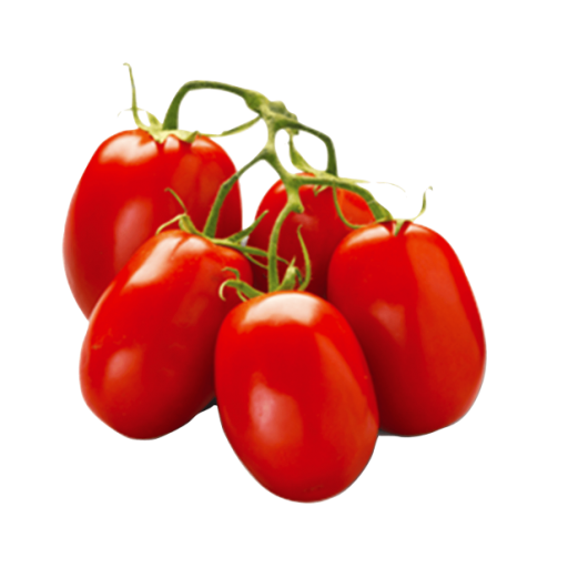 Tomato Acorn 